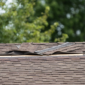 Roof on house with damaged shingles.