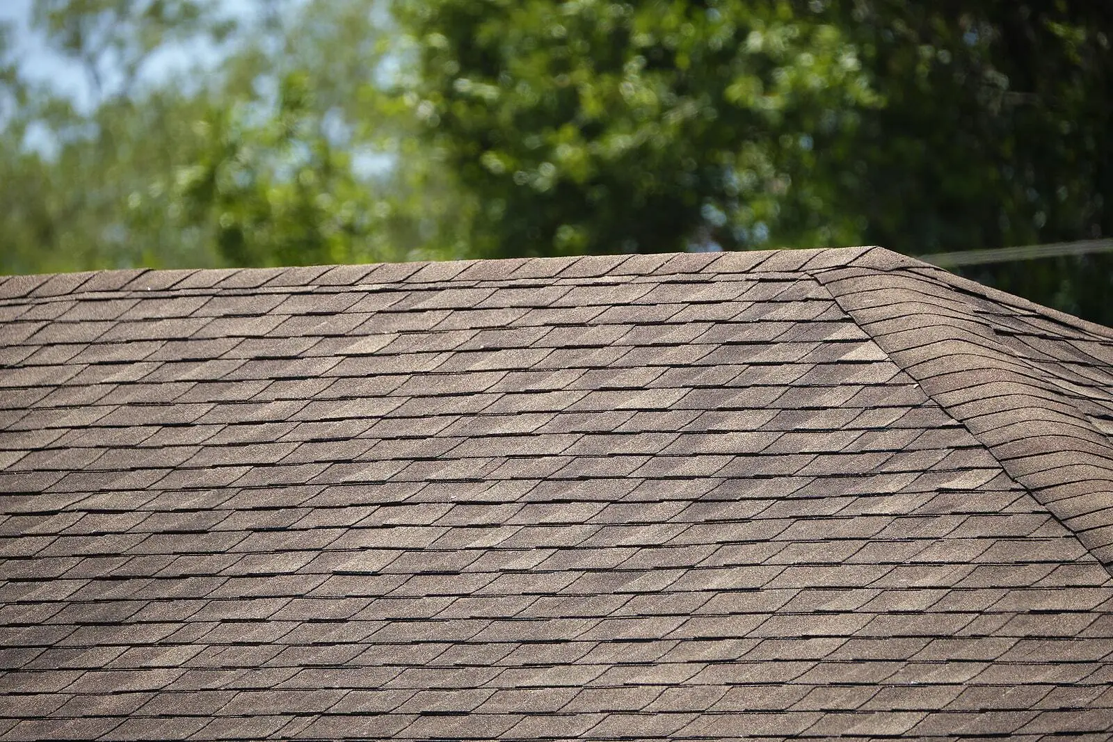 Pro Craft Home Products installing asphalt shingles on a residential roof