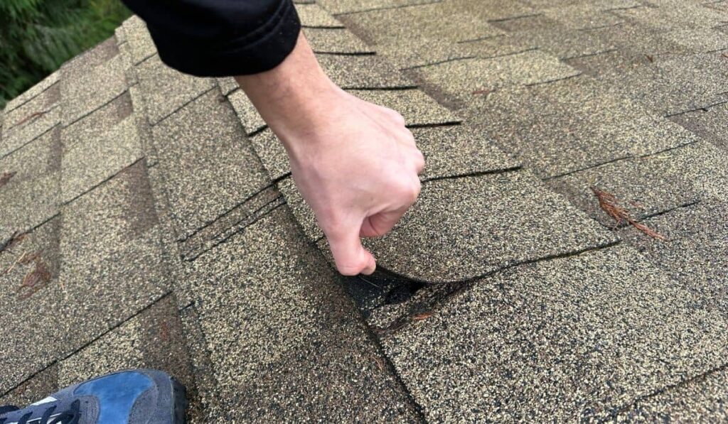 roof inspection