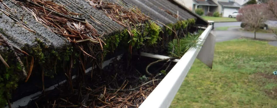 Clogged gutters filled with pine needles, moss, and debris on a residential roof.