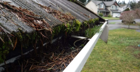 Clogged gutters filled with pine needles, moss, and debris on a residential roof.